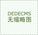 BDO 中国BDO行业出口之变 2024年出口量达到